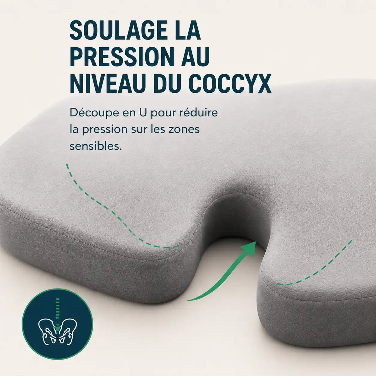 COXIS Pro — Coussin d'assise et Dossier