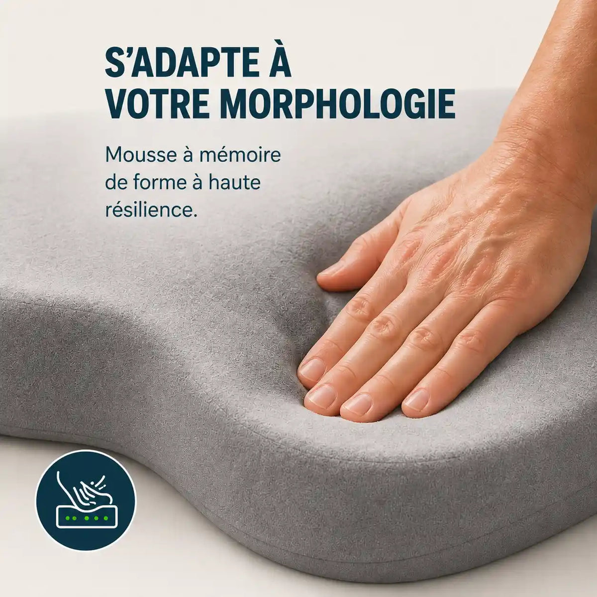 COXIS Pro — Coussin d'assise et Dossier