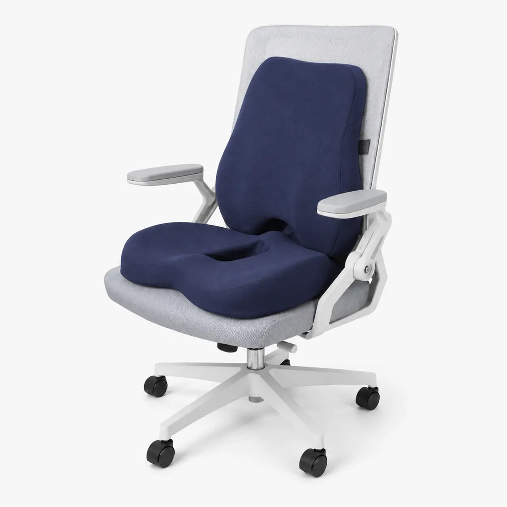 COXIS Duo — Coussin d'assise et Lombaire