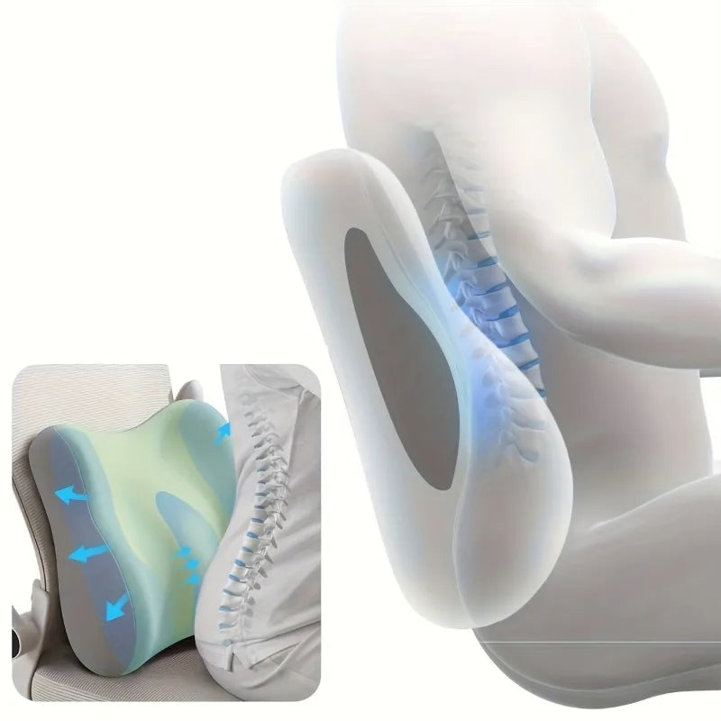COXIS Elite — Coussin d'assise et Lombaire
