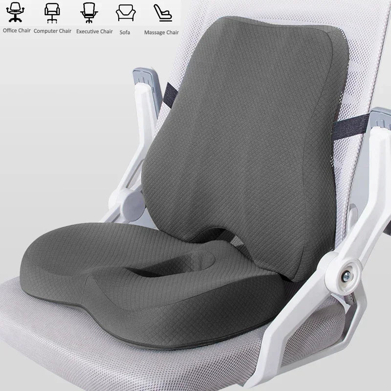 COXIS Duo — Coussin d'assise et Lombaire