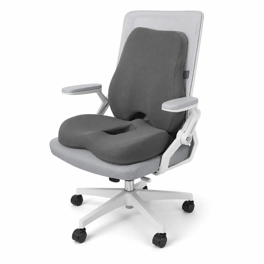 coussin_lombaire_et_d_assise_sur_fondblanc