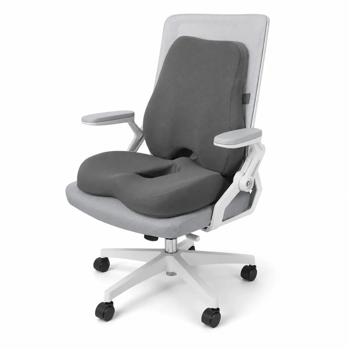 coussin_lombaire_et_d_assise_sur_fondblanc