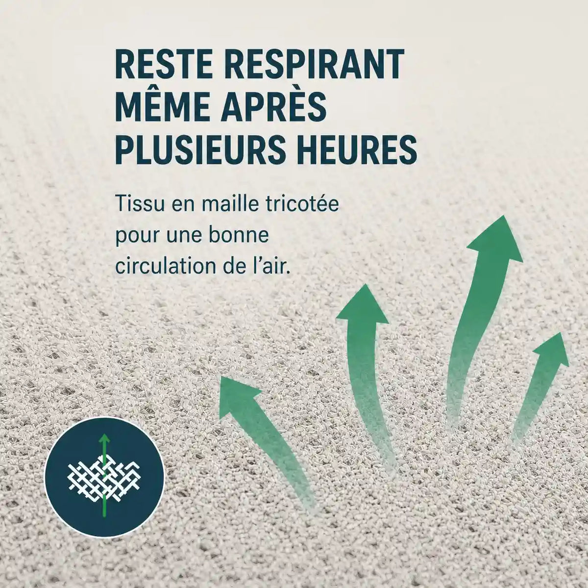 COXIS Pro — Coussin d'assise et Dossier